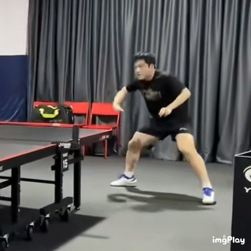 樊振东有多萌你们知豆不？ 