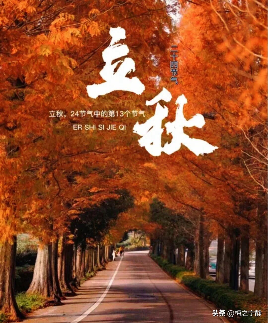 🌼²⁰²⁶/₀₈.₀₇ᵕ̈ 周五｜立秋早安🍂☀️

一朝立秋至，暑气渐缓缓退