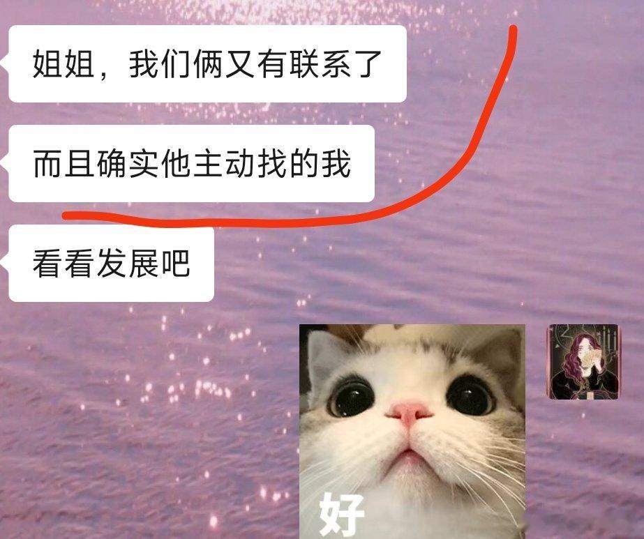 塔罗[超话] 【🔮叶子｜感情】暗恋从来不是单方面的自我感动，你反复揣摩的消息、