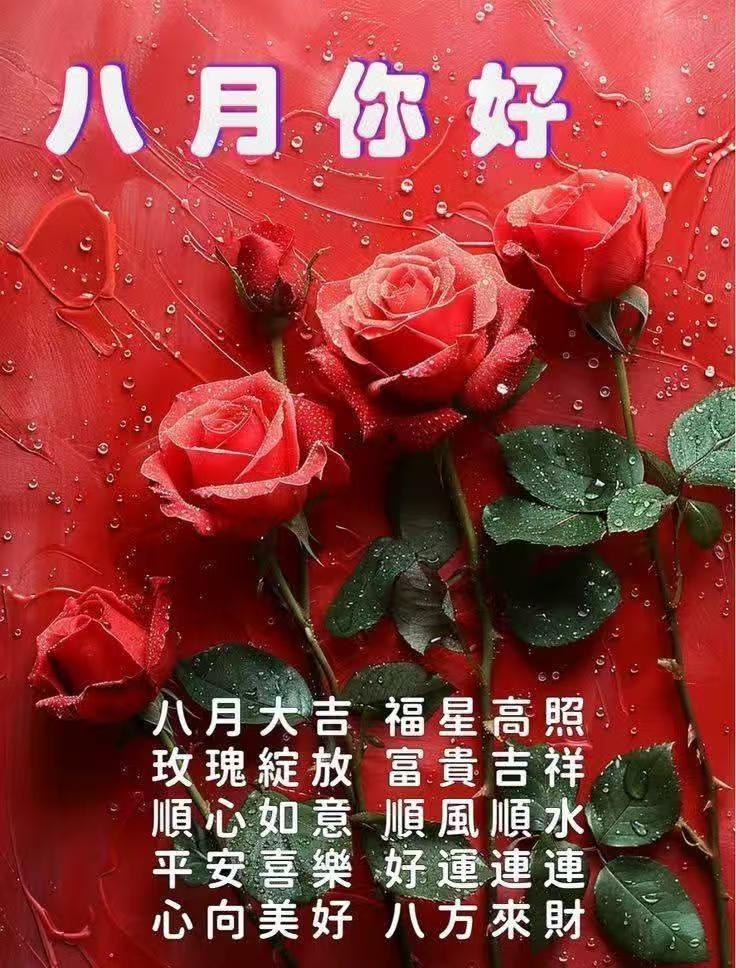 赶紧多说点儿吉祥话遮遮 超强台风白海豚来了