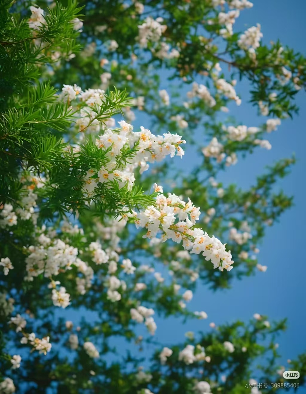 年轻人的出行偏好有多真实不晕车排打车需求第4不晕车居然排第四，精准戳中晕车星人痛