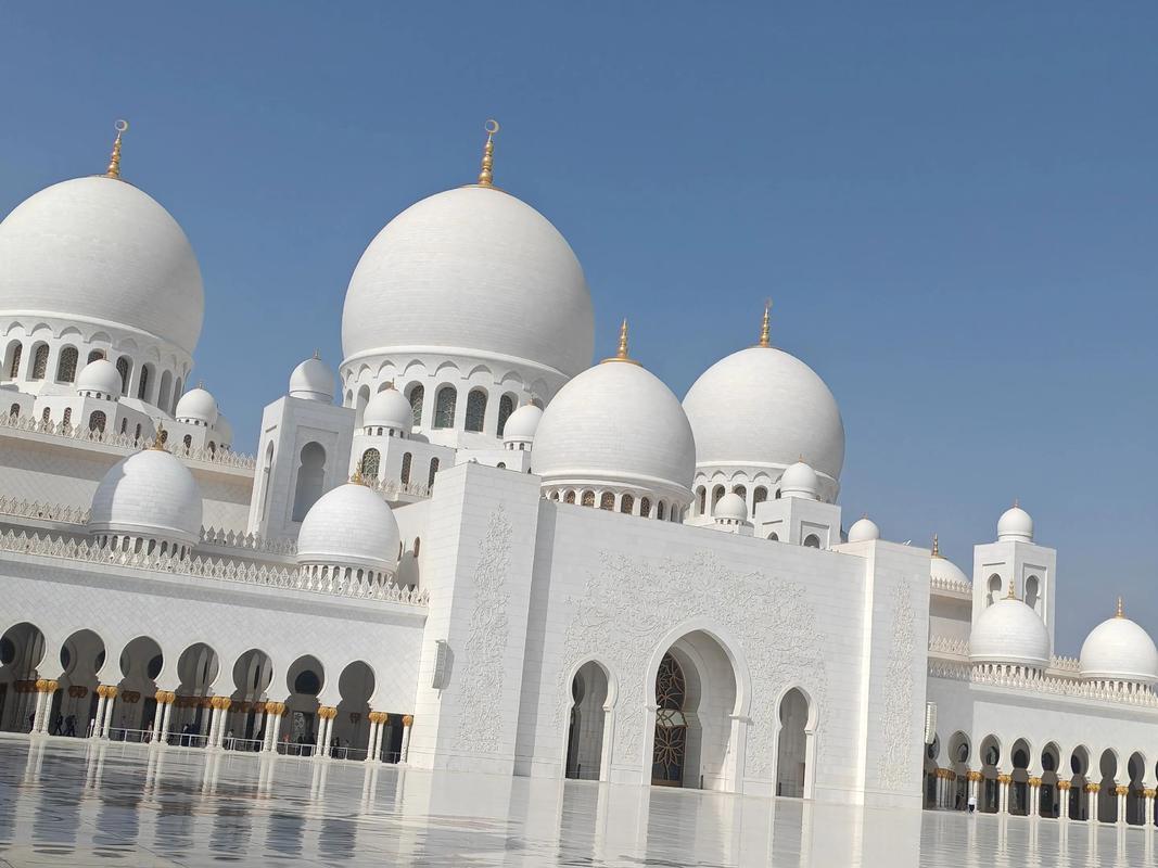 沙特基础工业要在中国建一座新工厂，这事儿挺值得说道。沙特基础工业在化工领域那可是