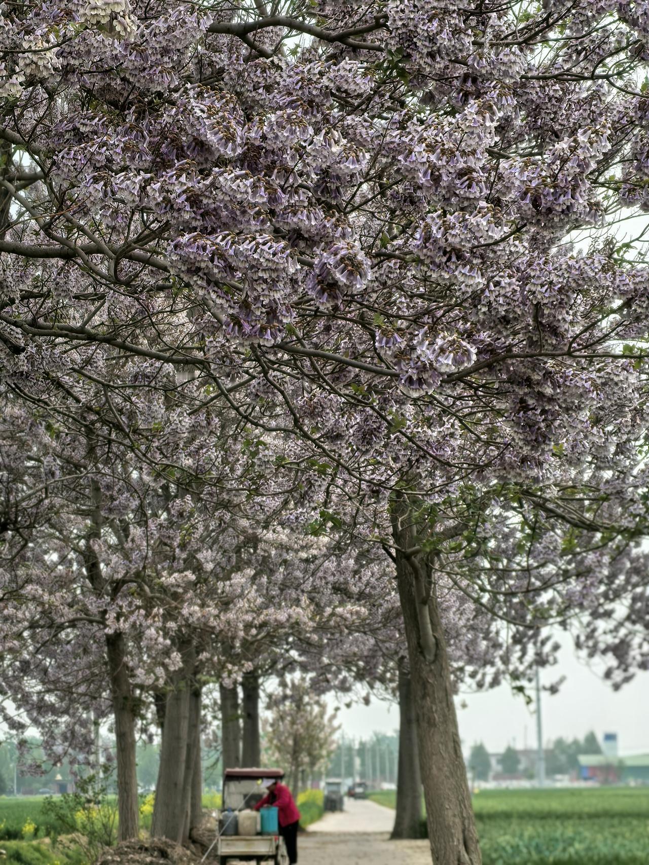 这个世上最惦记我的，最心疼我的，只有我妈，今天是我的生日，都忘了，只有我妈没忘。