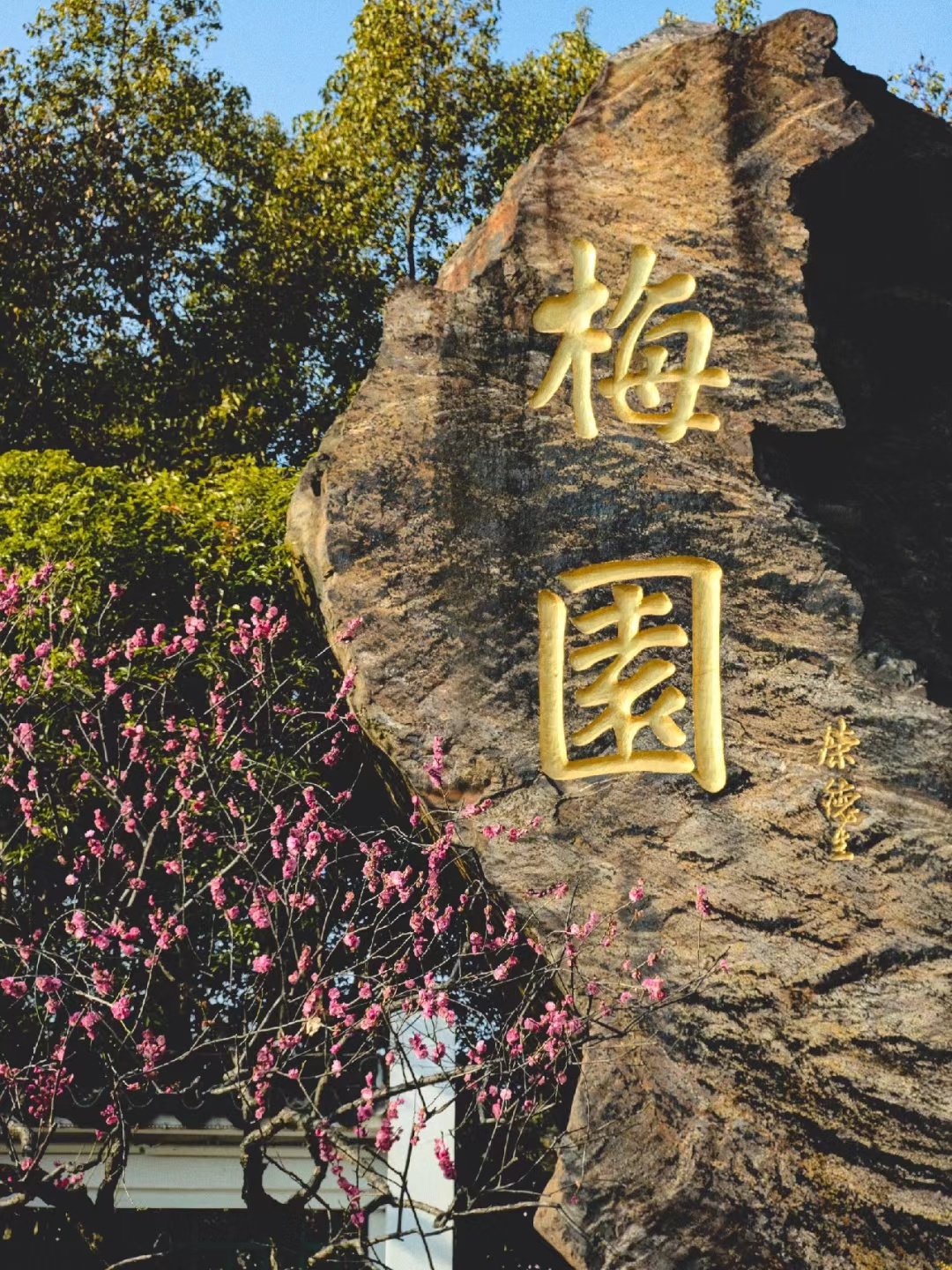 全国文旅向骄阳似我抛出橄榄枝 骄阳似我你是真火啊～文旅赛道就这么被争着抢着进来了