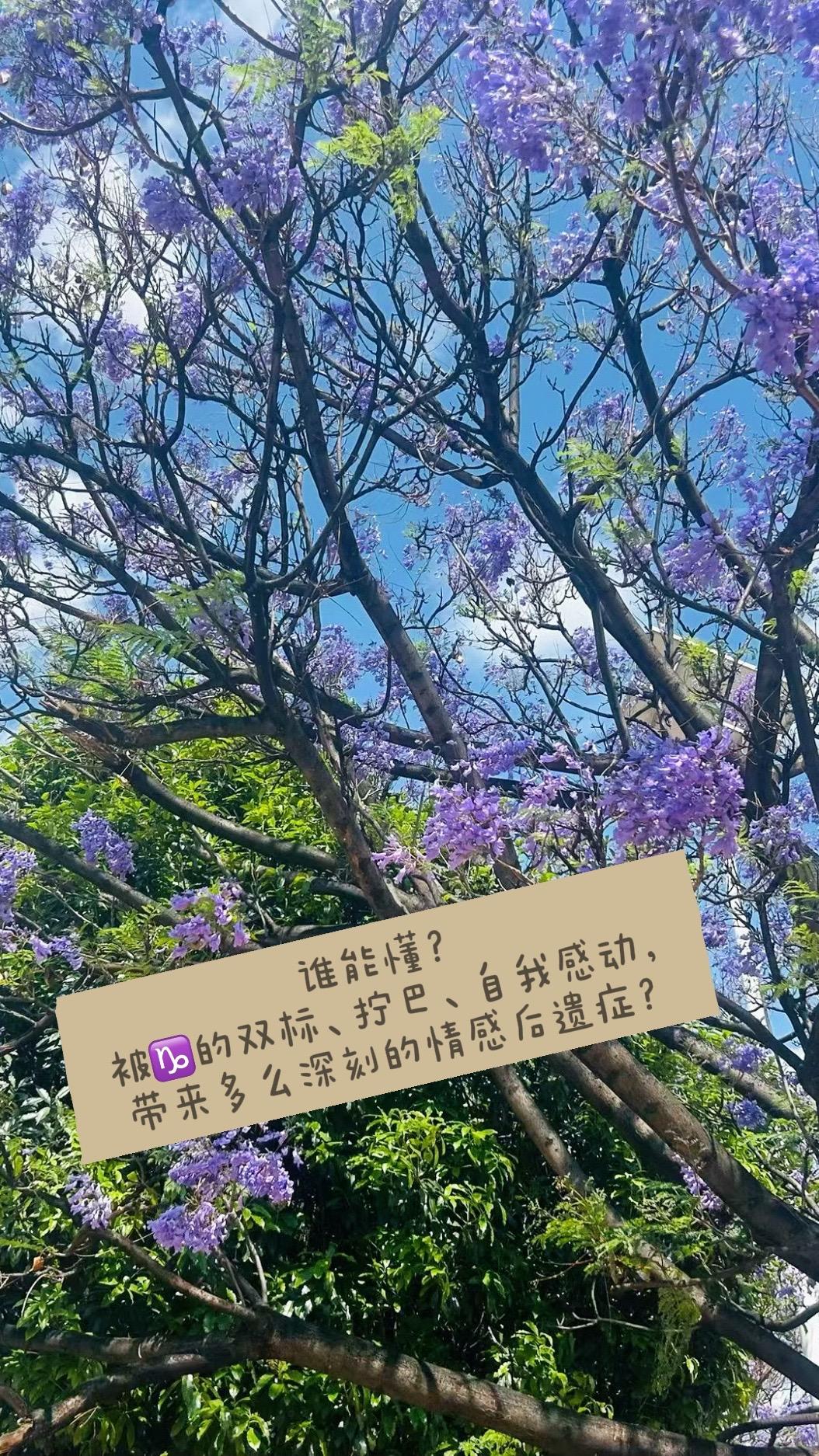 谁能懂？
被♑️的双标、拧巴、自我感动，
带来多么深刻的情感后遗症？刘雨昕 我不