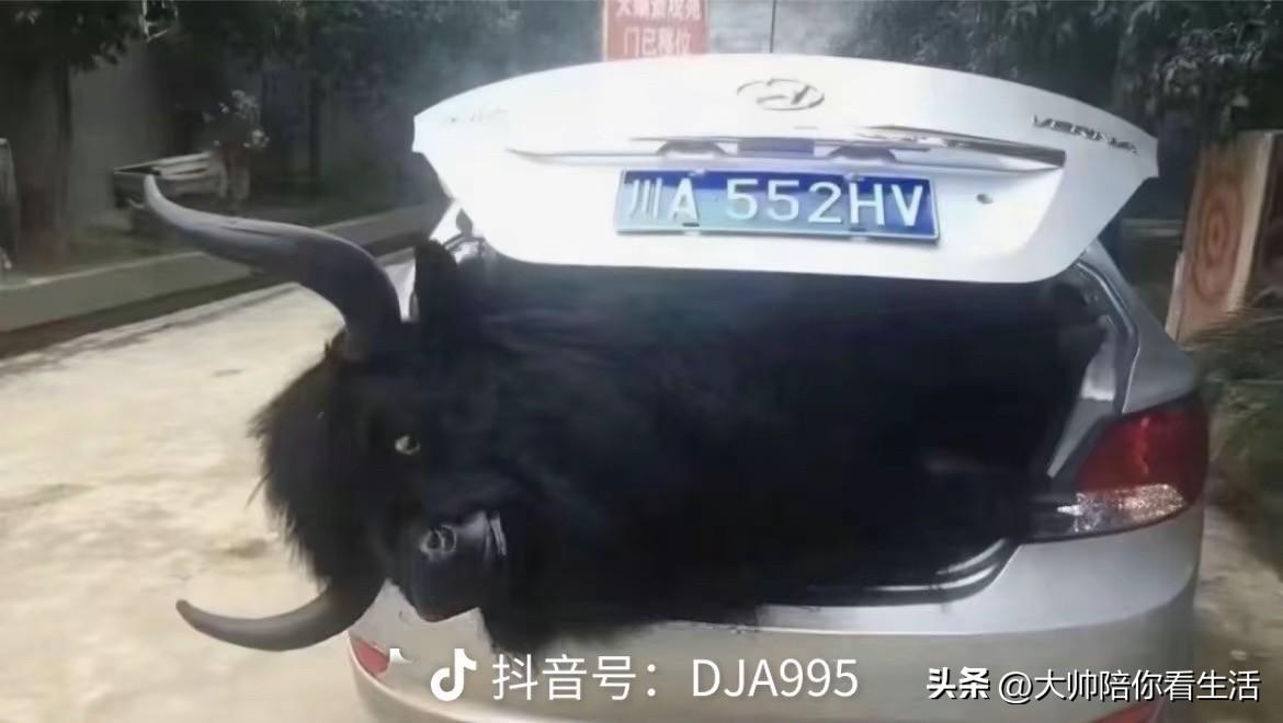 健康被认为是无价之宝,你同意吗?帮我生成图片：完全同意❗健康才是人生的顶配财富✨