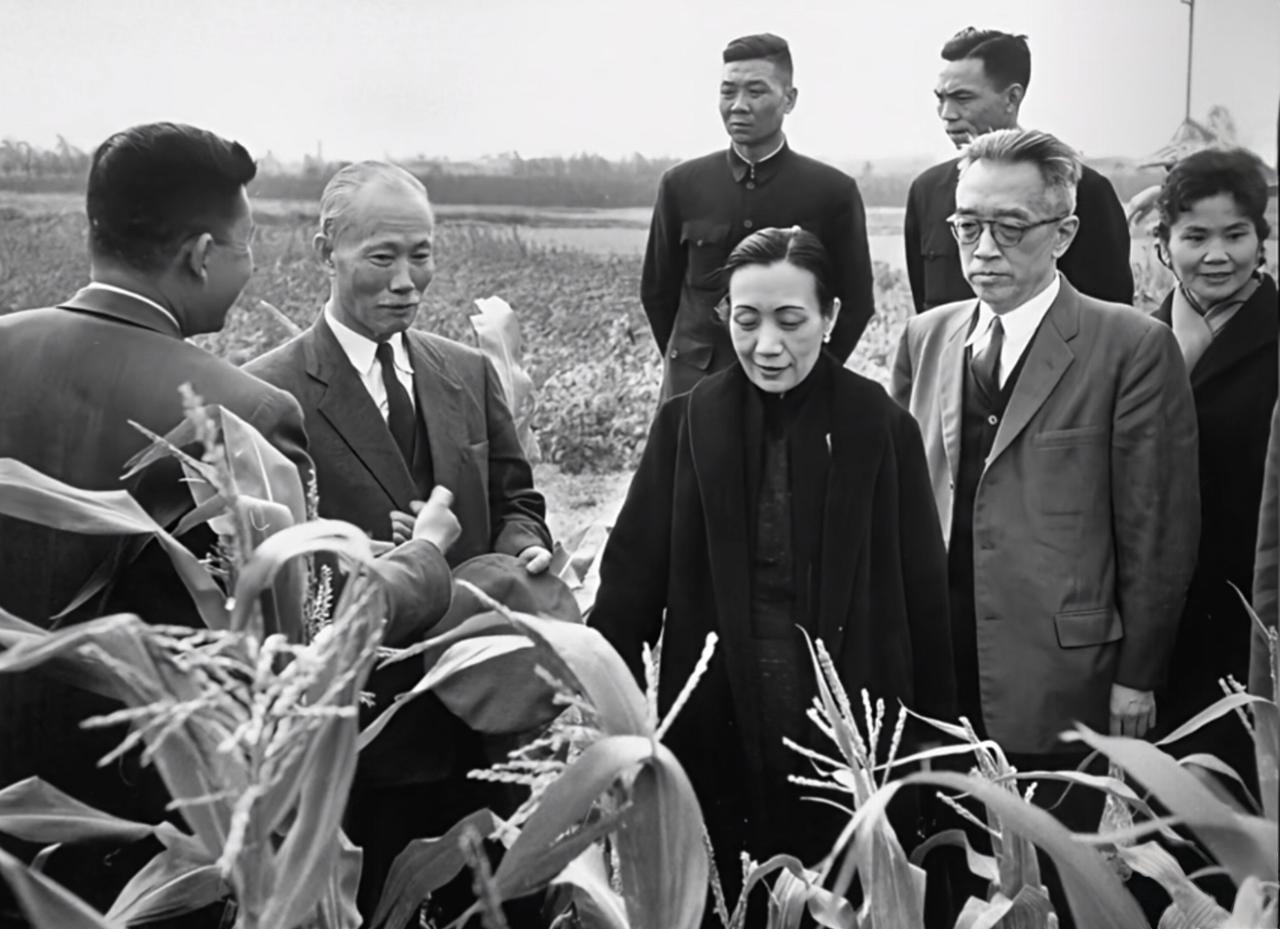 分享老照片故事上世纪六十年代初，担任台湾行政院长的陈诚携夫人视察农耕，胡适教授陪