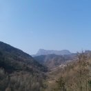政道公考小陈