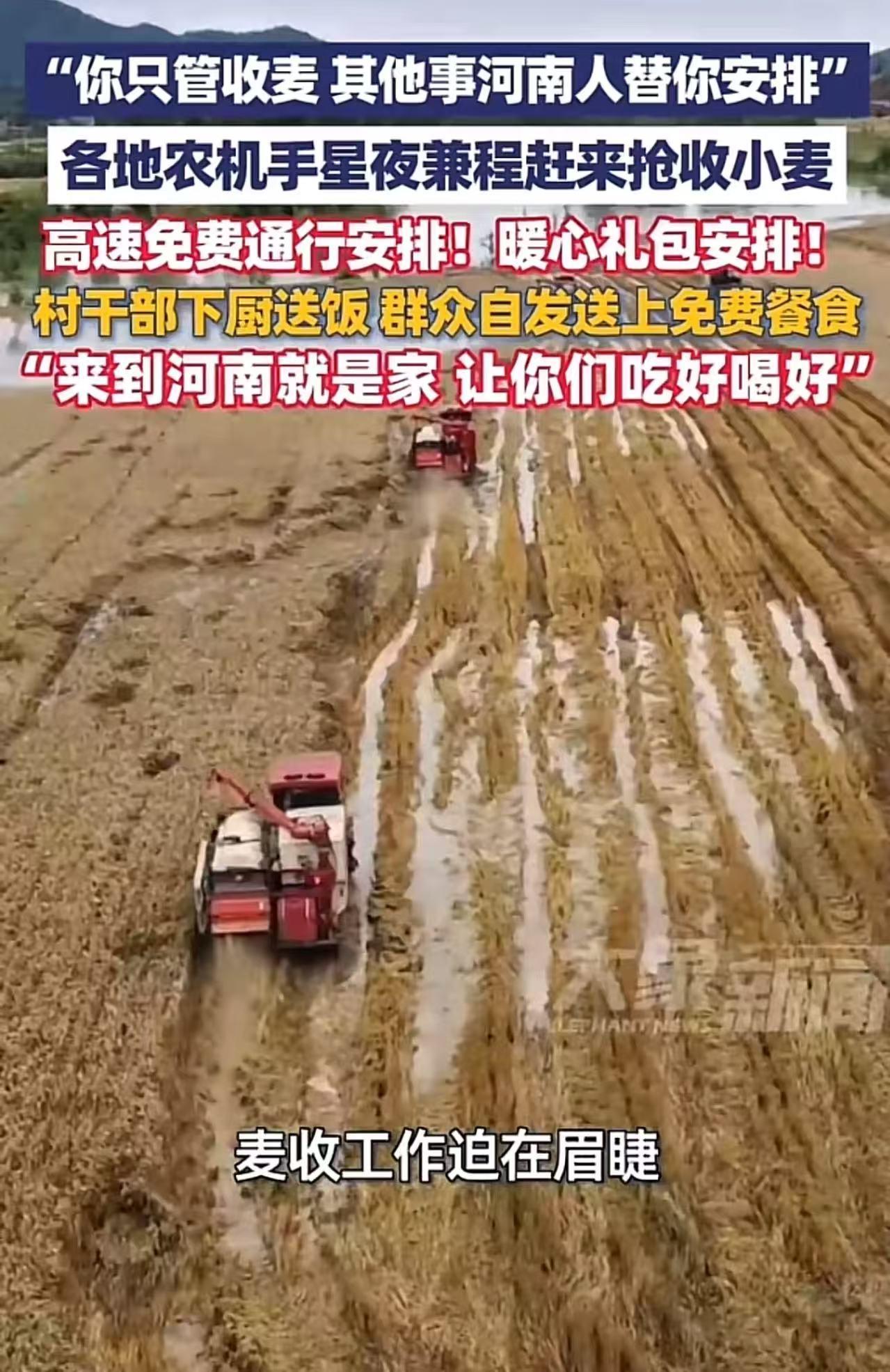 “真的是没有对比就没有伤害啊！”前有湖北“割四赔五”，后有河南群众免费给农机手送