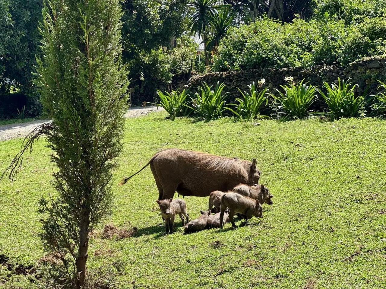 野生动物人与自然和谐共处