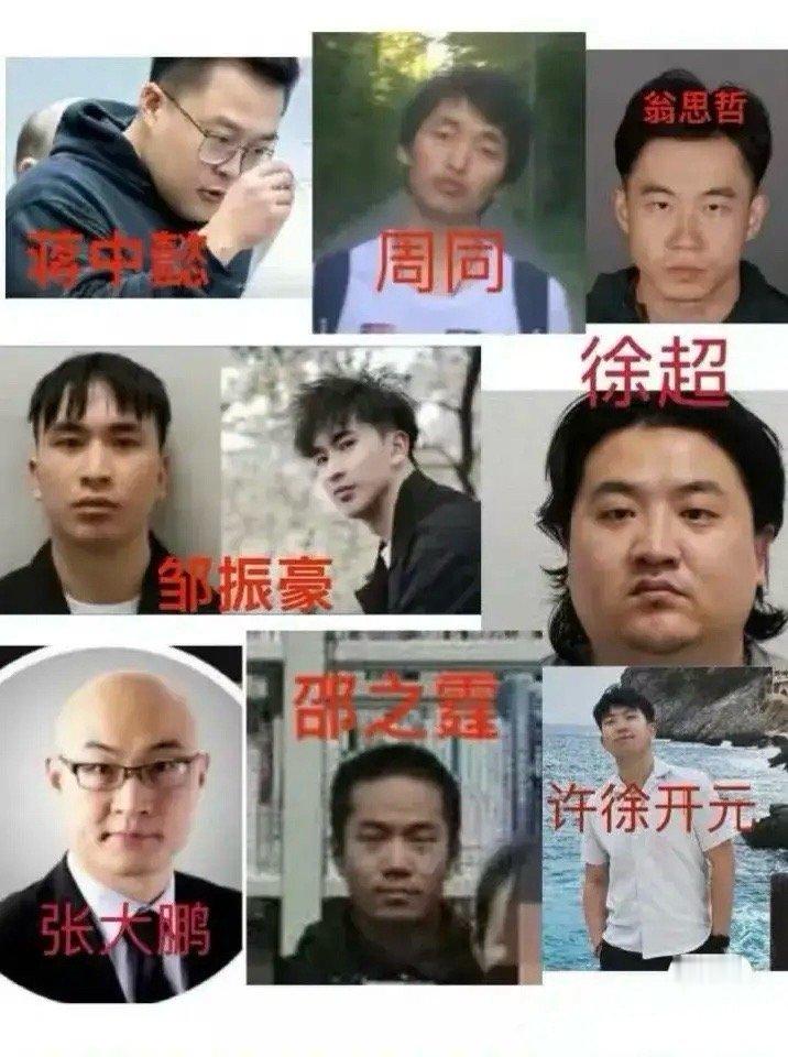 “德国老司机驾校”案犯陆续曝光，被扒出“绝命毒师”等更多华人精英身份。     
