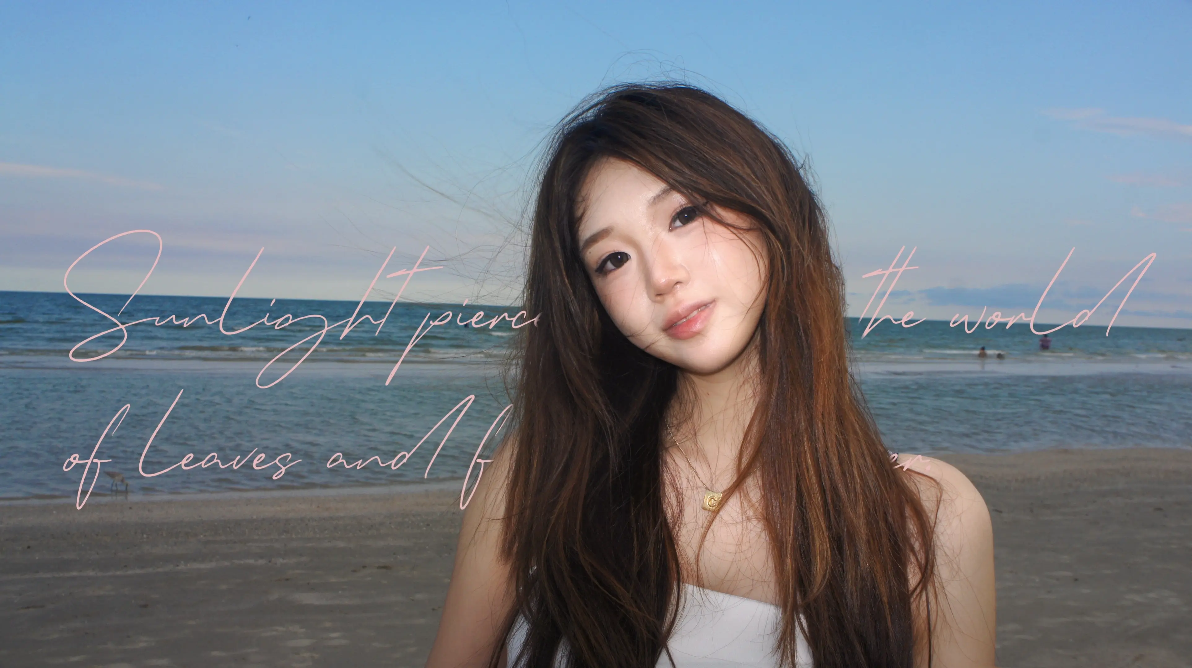 long time no SEA!!🌊🎞️