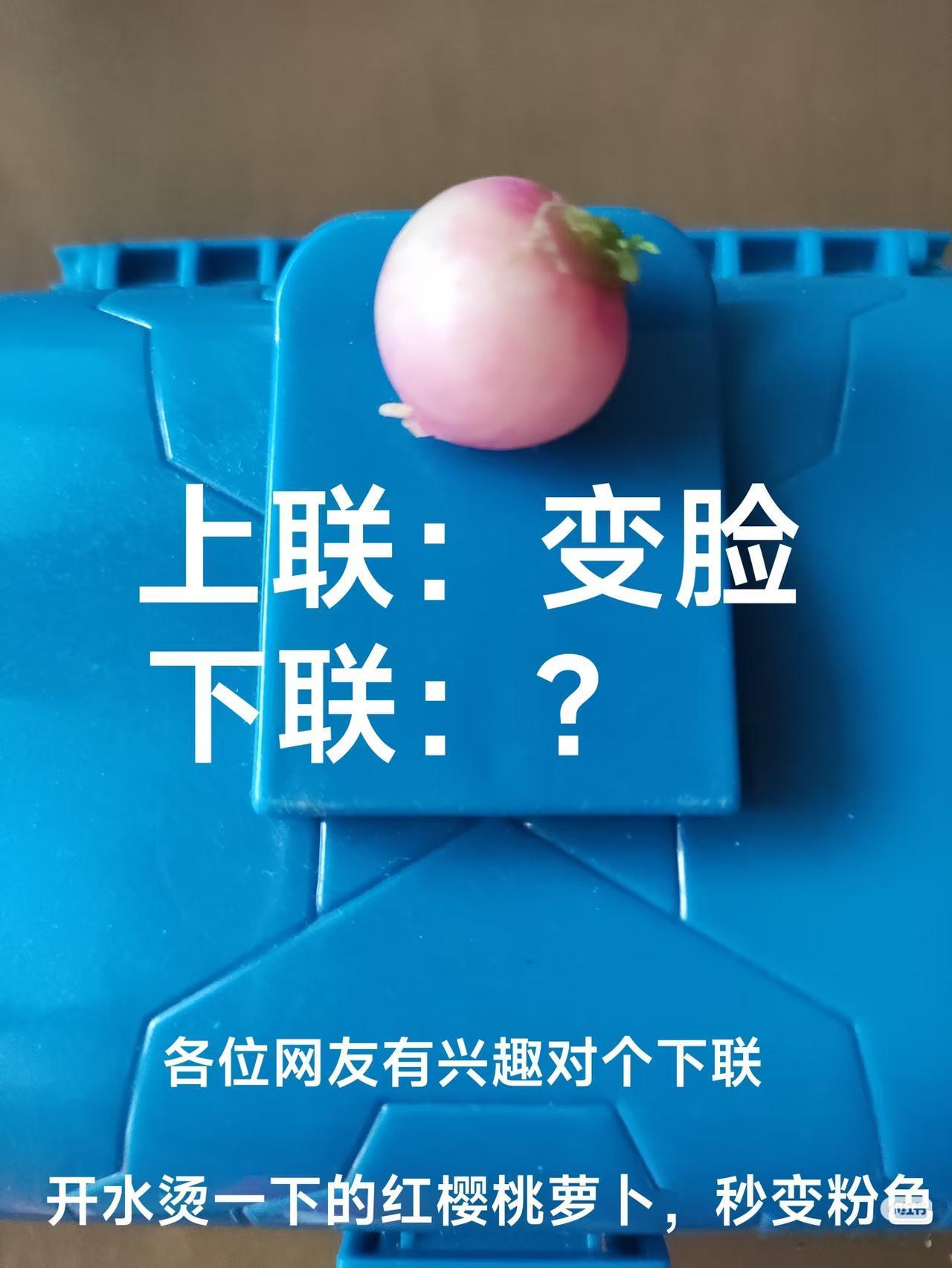 上联：变脸，
下联：？
