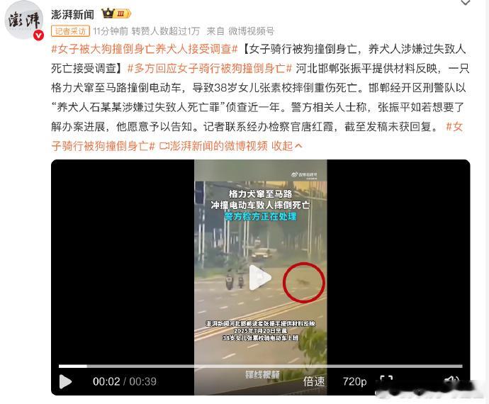 欢乐的宠物经济与尊重生命的猫犬保护并行之下的：儿童 、老人，还有交通。 