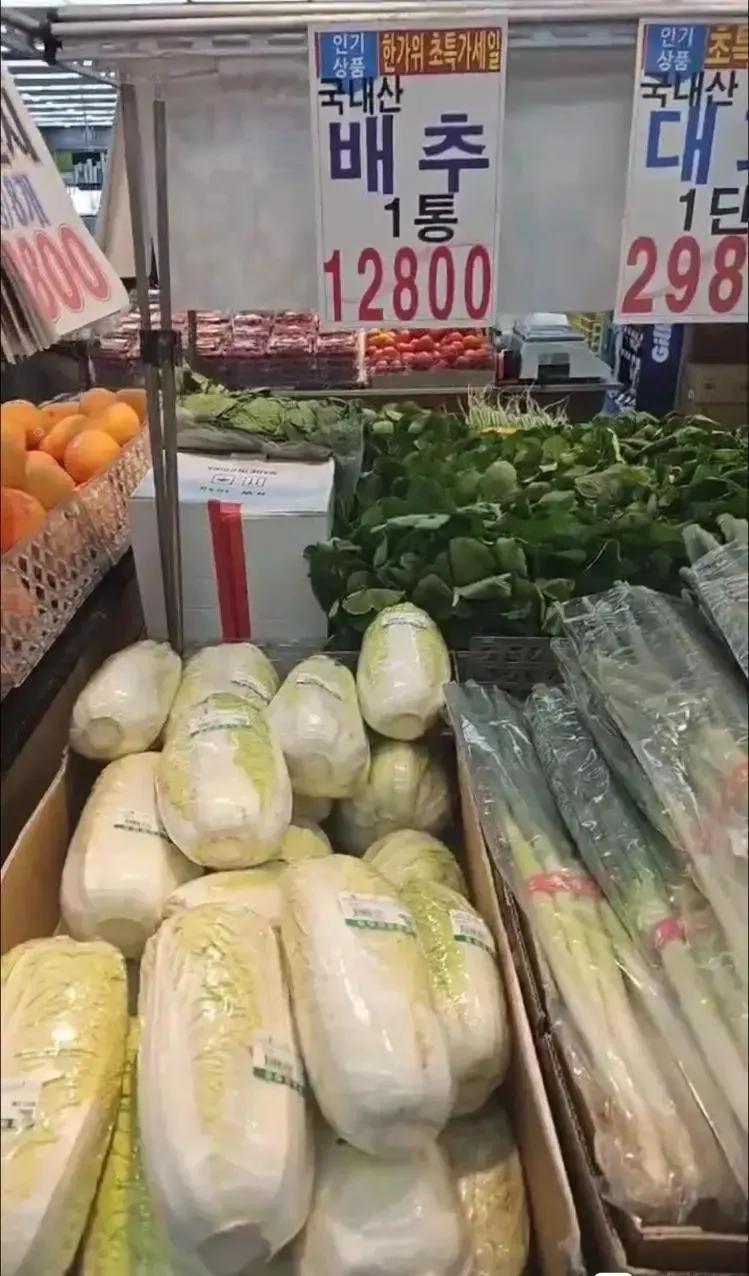 韩国大白菜每斤达到了33元，乖乖，这哪是大白菜，这分明是“金白菜”。所以韩国疯狂