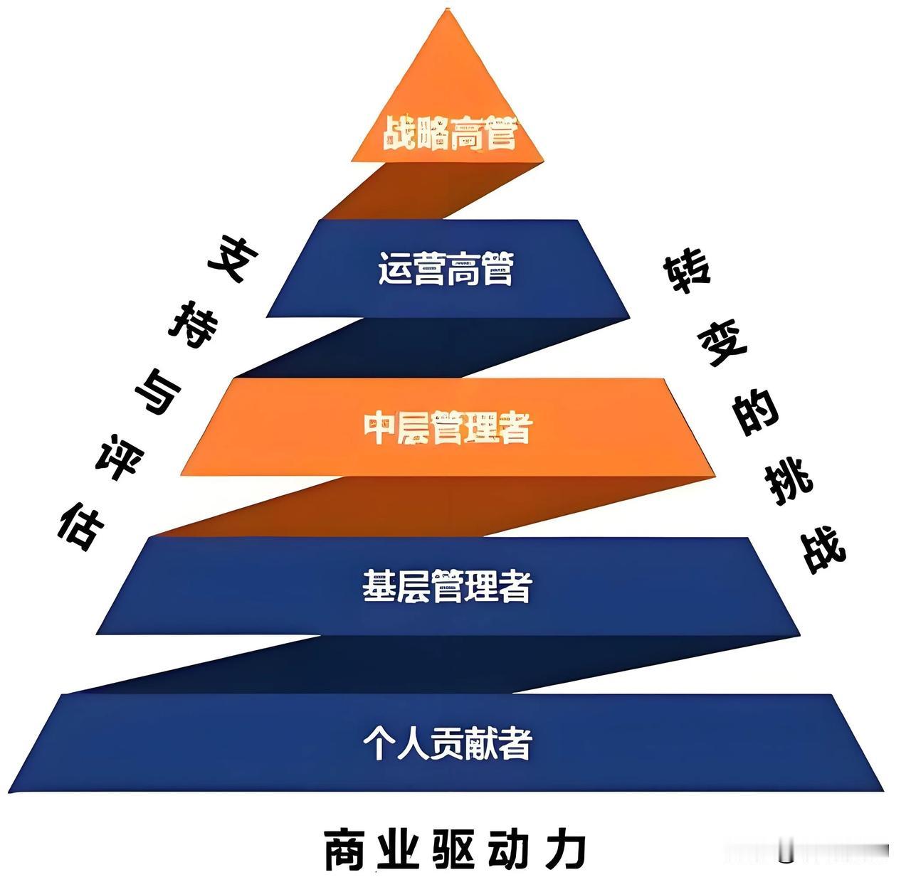 《商业驱动力》组织结构
商业驱动力=个人贡献者+基层管理者+中层管理者+运营高管