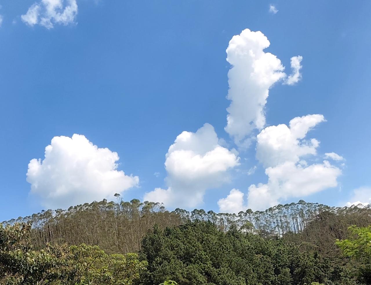 广州的北京路步行街每天都有很多外地人逛街的，但是广州的本地特色老字号为什么就做不