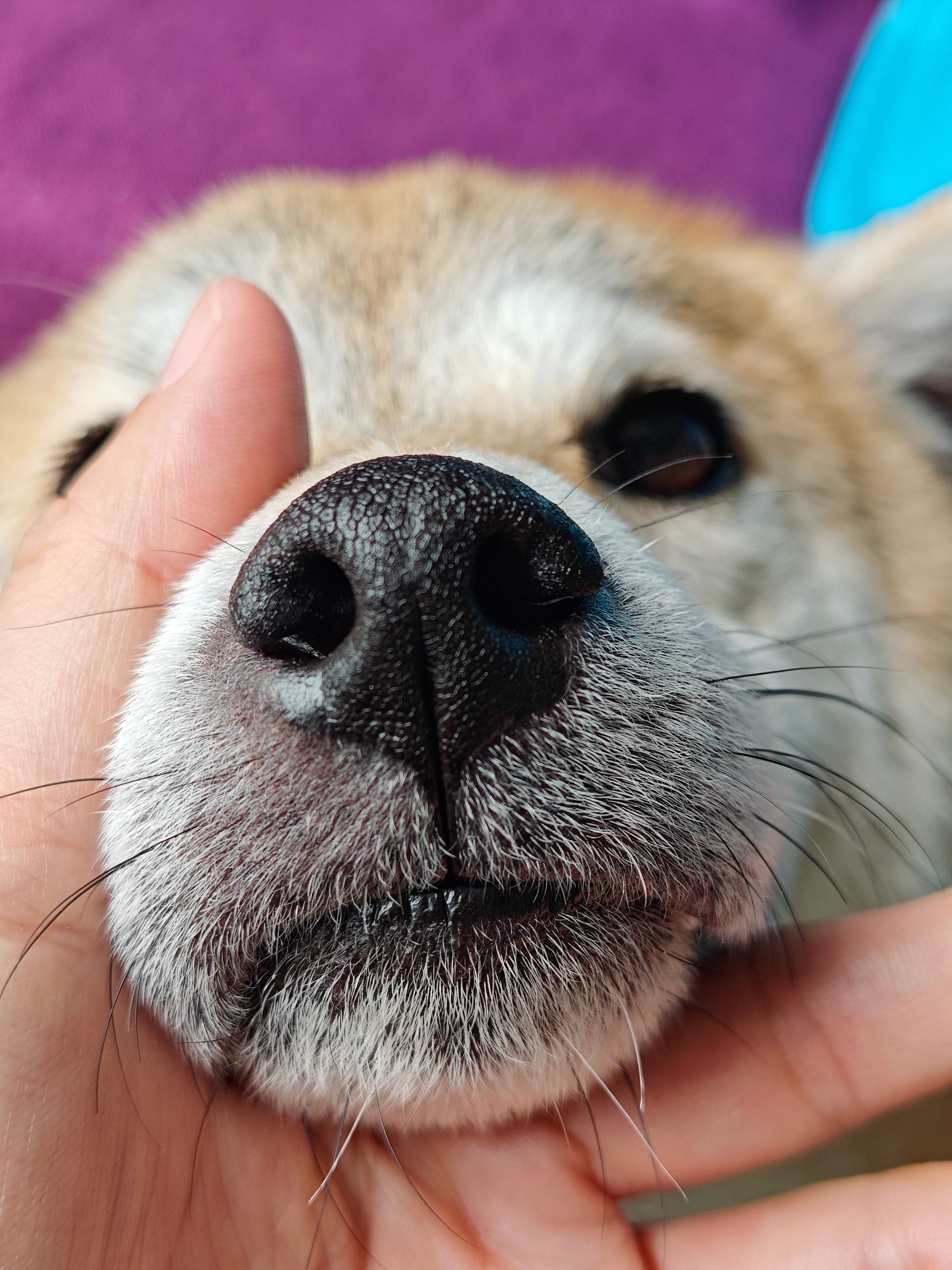 我国数字消费用户规模超9.5亿人同期数字消费规模9.37万亿元，占居民消费支出4