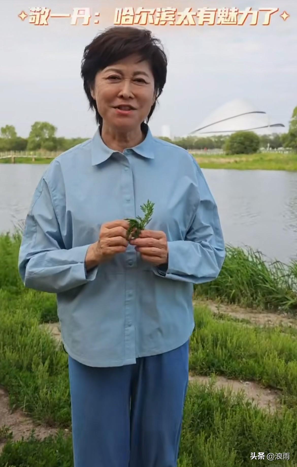 世事无常。就在今年6月5日，芒种节气之时，敬一丹去看望了蔡磊。她还很用心的带去了