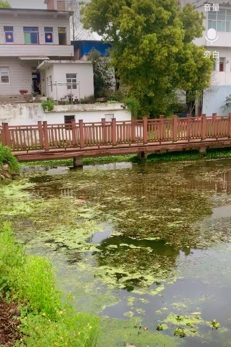 打小牌，
就出幺蛾子了？
每到天晴，
街上几家卖农资店的门口，
便会聚集不少老年