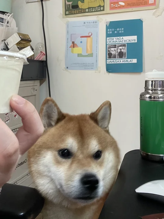 想吃你自己点一份好吗？