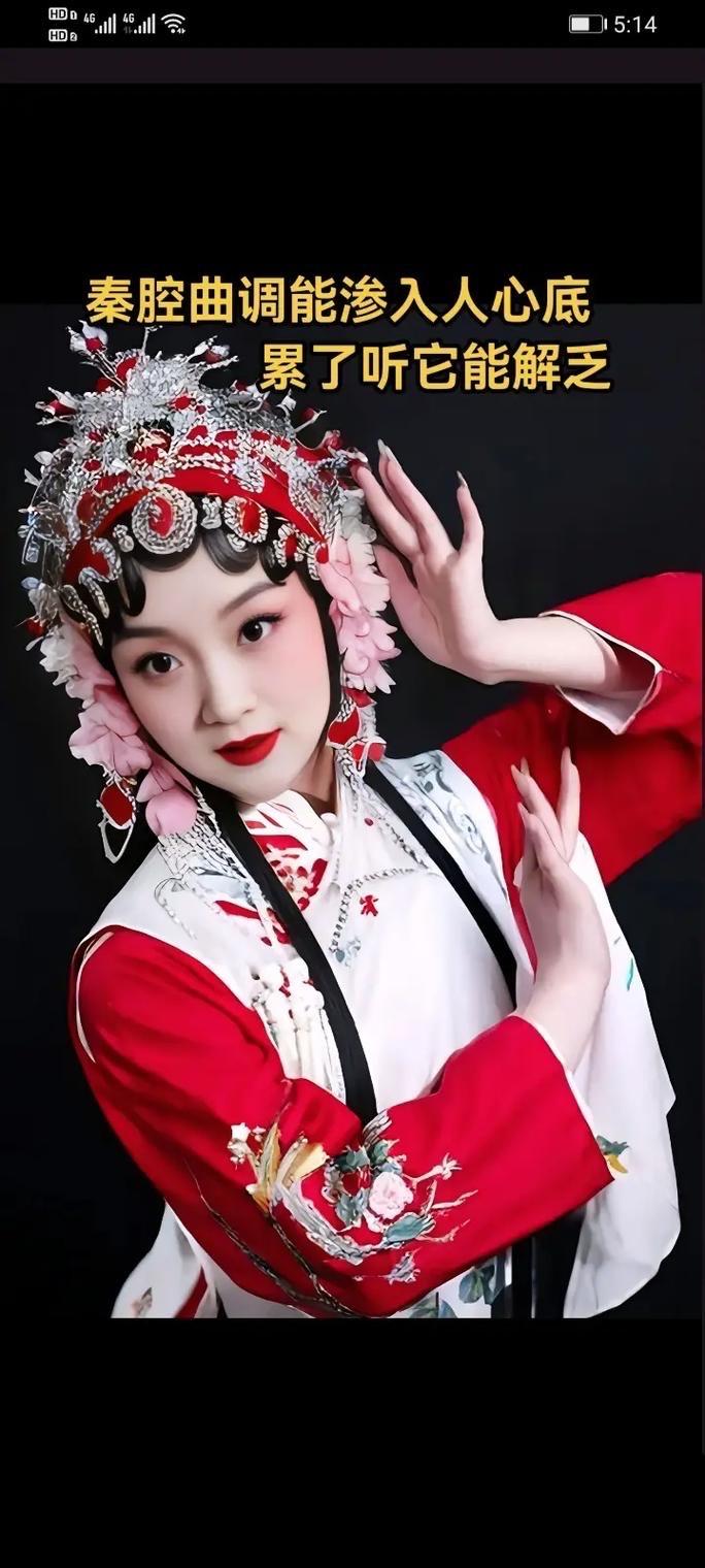声腔体系
  • 秦腔（梆子腔）：以真声嘶吼为核心，唱腔高亢激越，自带黄土高原的