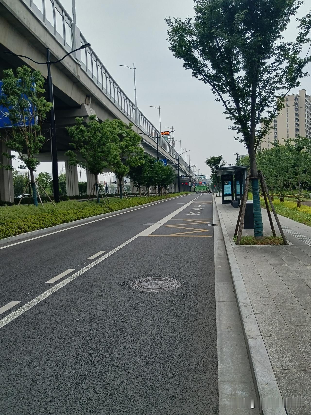 这次又骑行来嘉兴了，每次从嘉善骑行进入嘉兴城区，给我的感觉是两个地方的落差非常大