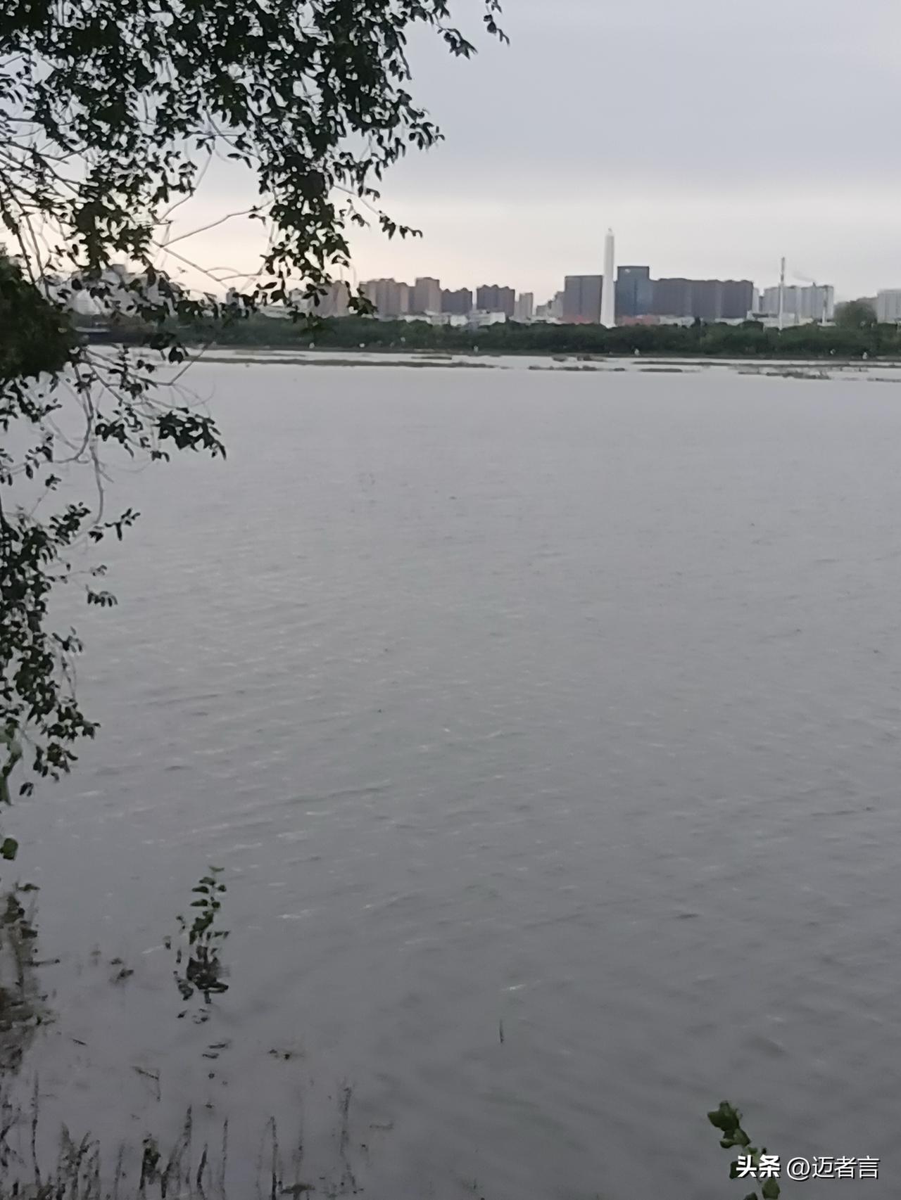 白河之湄   览物之情
{二十一）、秋水共长天一色

晨，阴，南阳外滩。
秋风凉