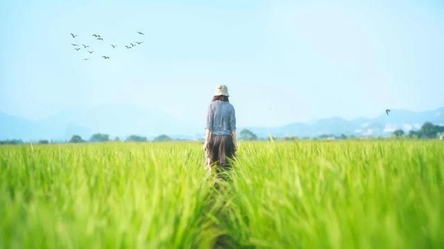 人生永不贬值的9种财富：

1、健康的身体，无价之宝
2、丰富的阅历，人生财富