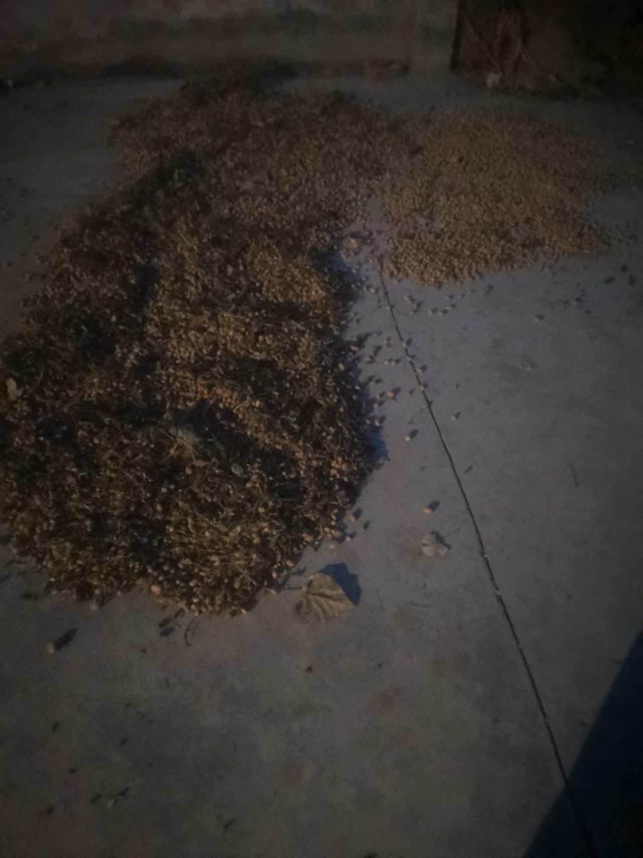 每天跳健身操一小时以上是非常有好处的。
首先磨练意志，再者，做事目标明确，我认为