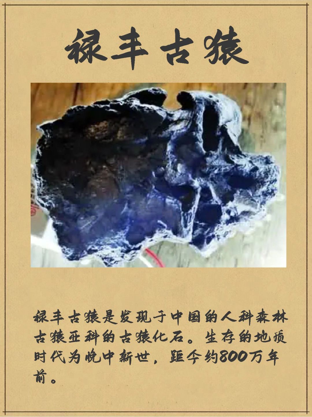 禄丰古猿