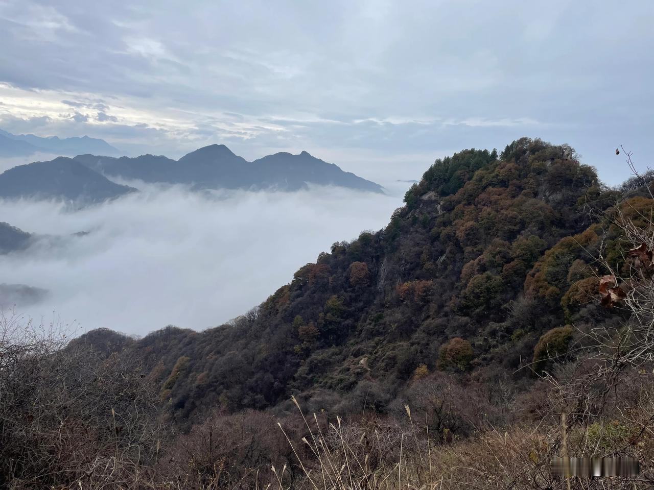 【鹧鸪天•雪满长安福满楼】
雪满长安福满楼，梅花欲绽酝香头。
千年老树西风立，万