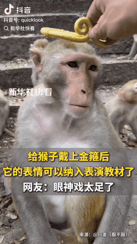 彻底解释不清了！贵州，一男子突发奇想，拿出一个金箍套在猴子头上，原本只是想拍个好