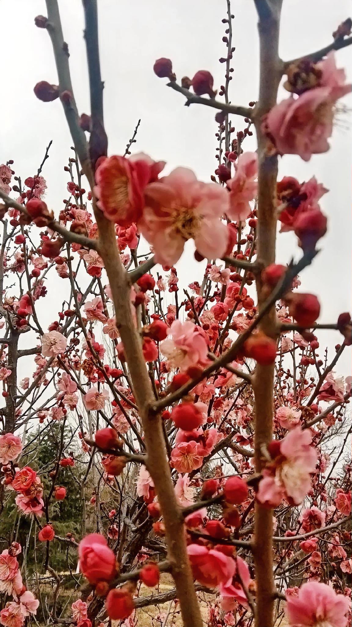 还扛什么呀，说不定一开打就投降了，或者来一场美国惯用的斩首行动。两国实力根本不在
