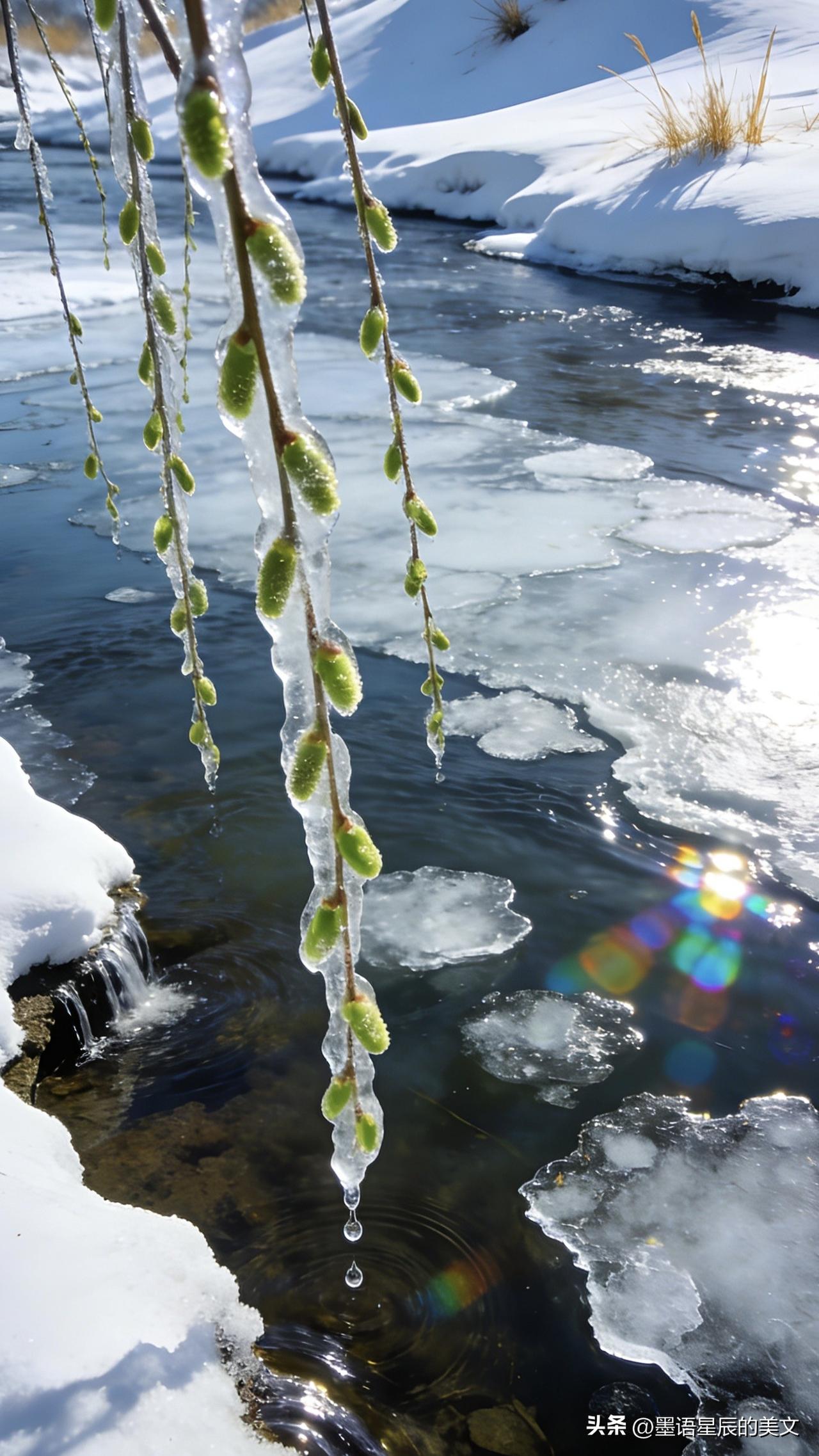 三九辞寒去，四九盼春来，暖日渐近皆欢喜

三九的寒威渐消，四九的脚步轻踏。
熬过