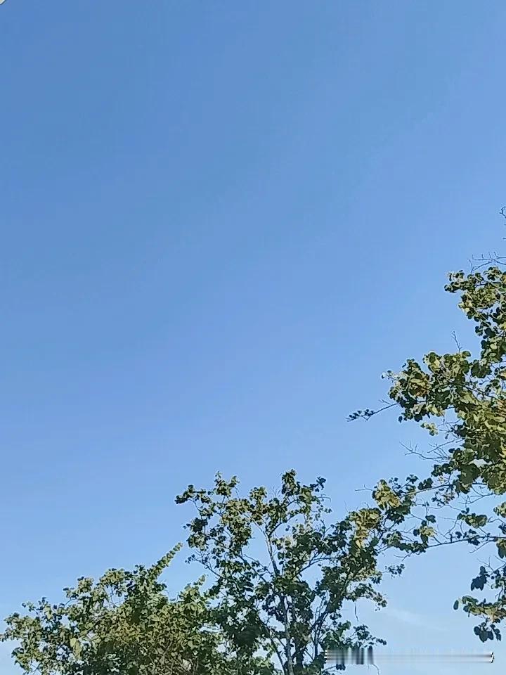 早安！风风雨雨，刻下岁月痕迹。清晨推开窗，第一缕光落在桌角，昨天的忙碌仿佛还没走