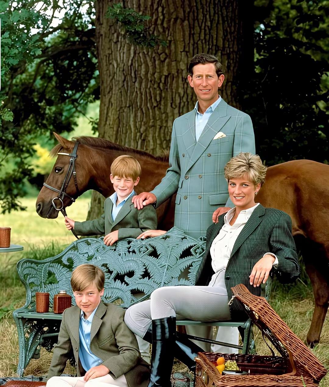 如若没有卡米拉，这一家子应该也挺幸福的吧！
两个可爱的儿子，还有一个人气口碑高的