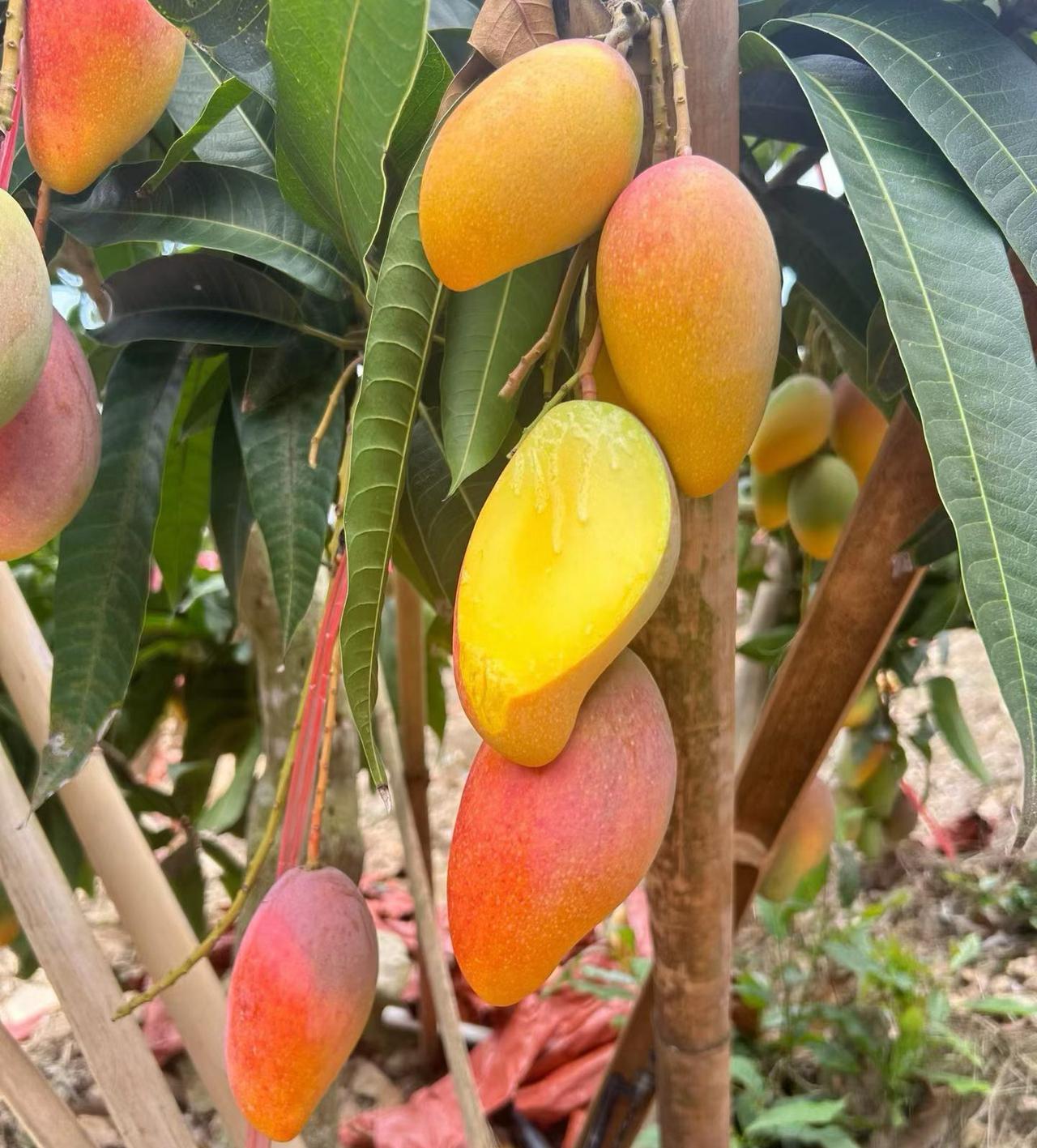 炒股至高境界：心定方致远
 
炒股最高境界，莫过于不盯盘、不预测、不追涨杀跌。抛