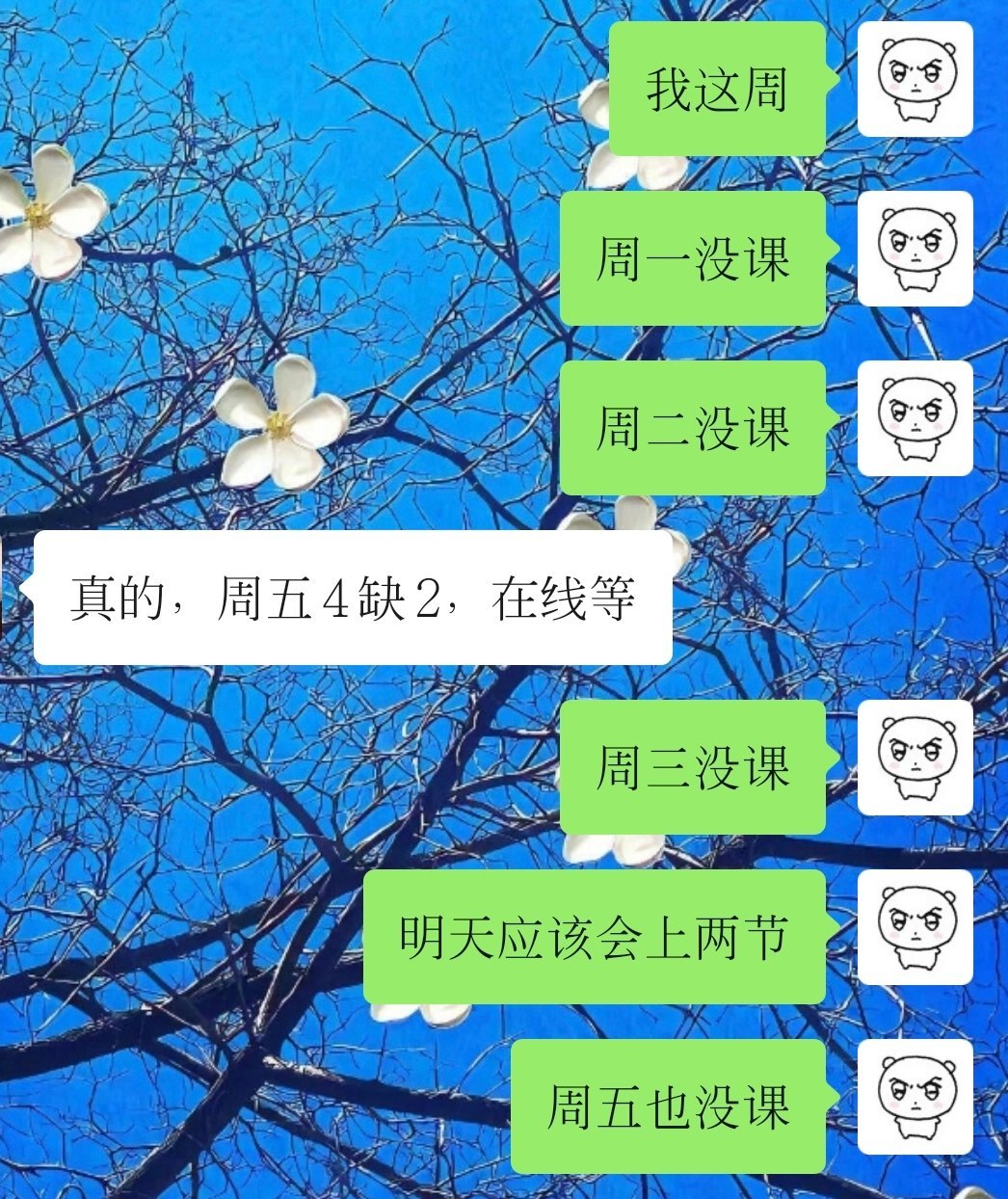 表面上看这周我爽翻事实上这周被一堆琐事折磨 