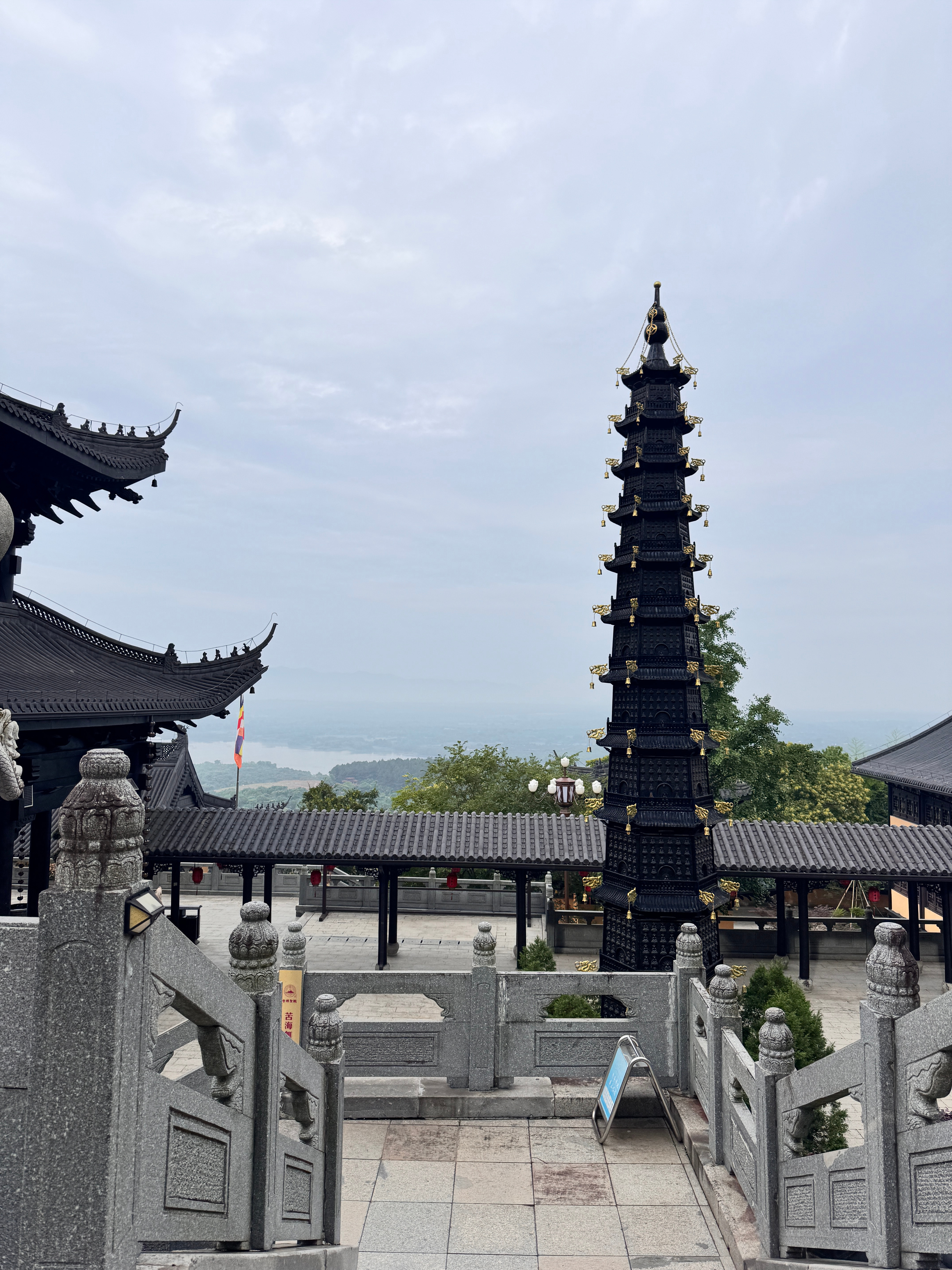 顺顺的 