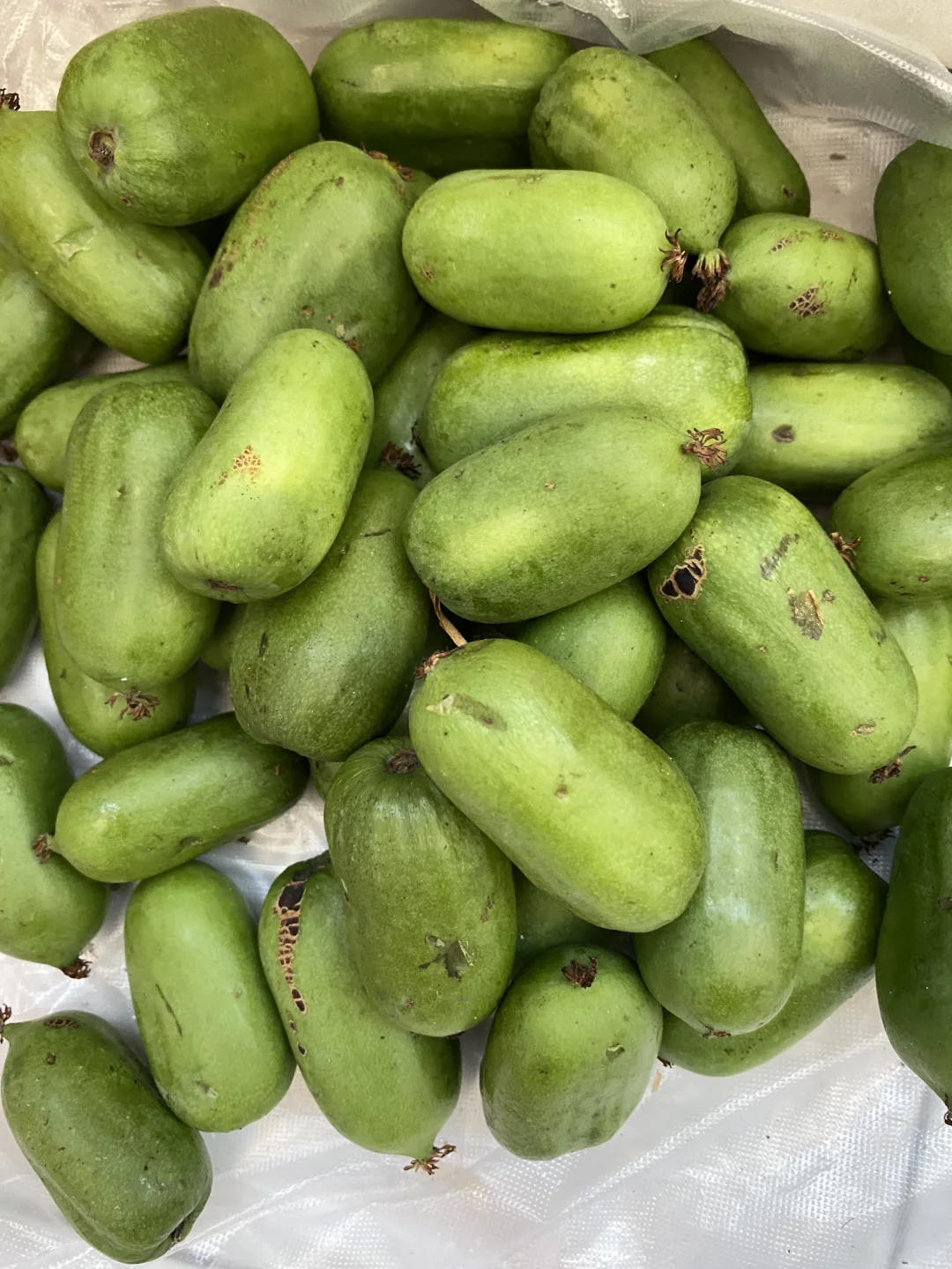 第一次这玩意儿哈哈哈😂