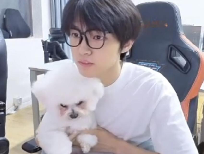 这一🐷一🐶萌成啥样了都...... 