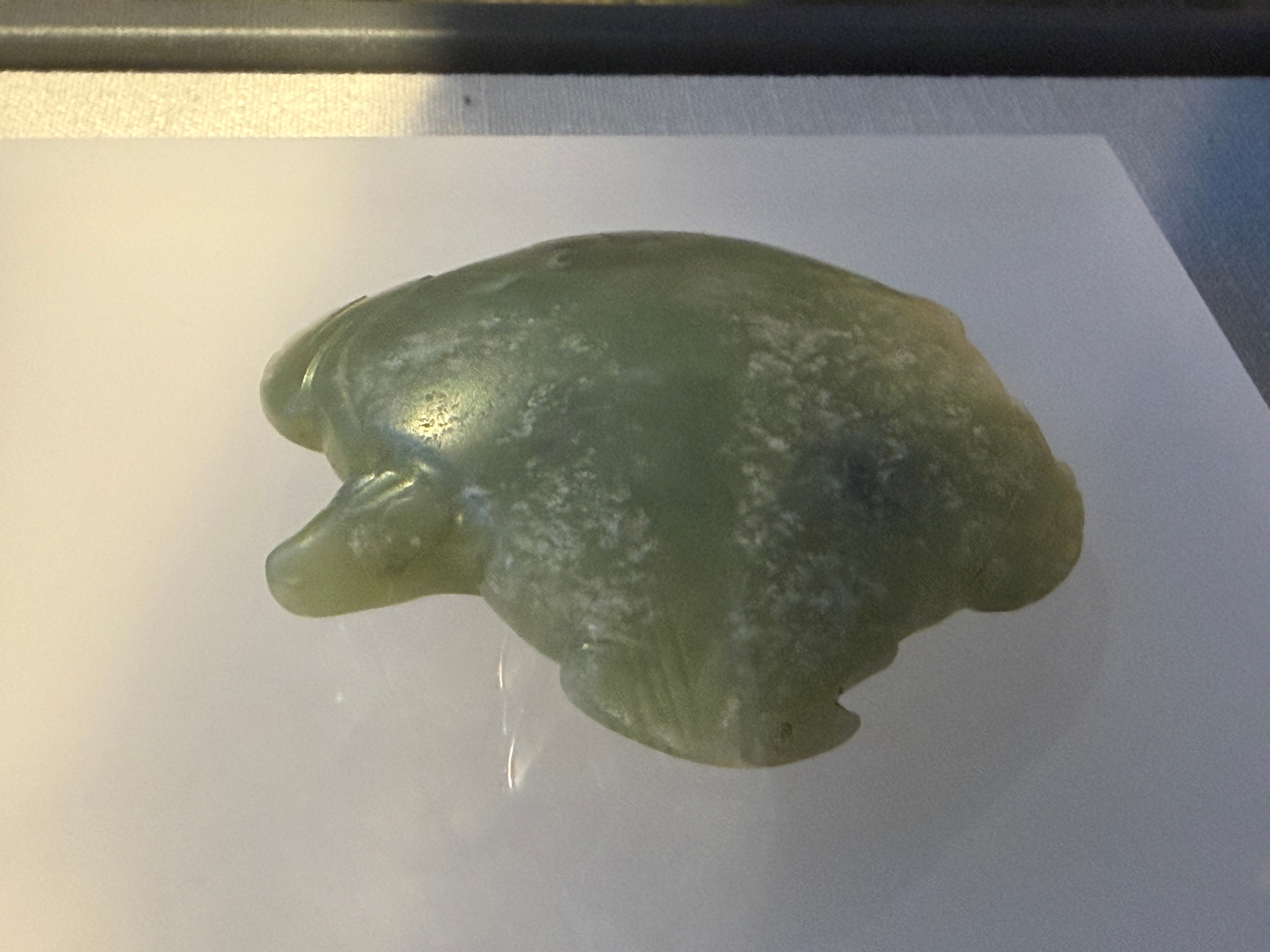 自辽宁考古博物馆开放消息传出，我们便一直盼着前来参观，苦于试运行阶段仅接受团体预