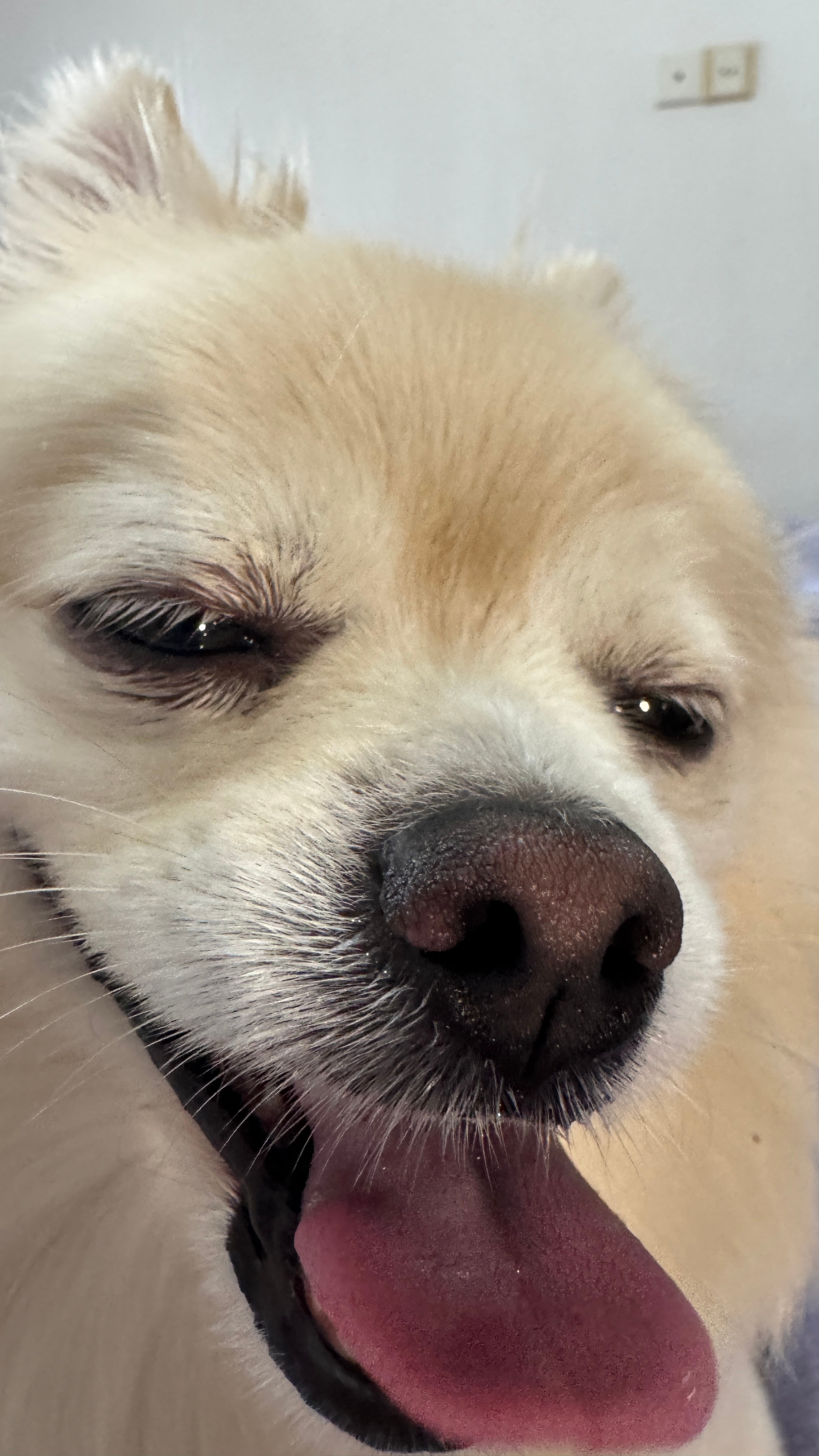 宝宝们 每日一铁来动动～