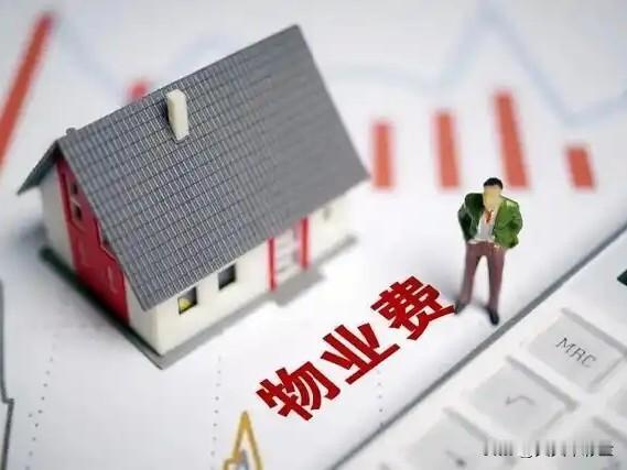 这背后的逻辑，我们可以从正反两个方面来看：

✅ 优势：为什么“社区接管”往往能