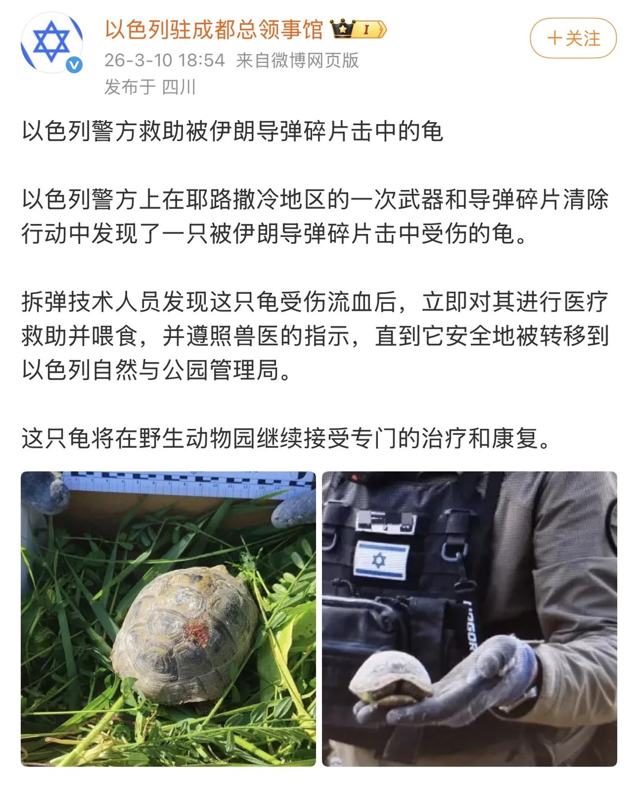 以色列和美国真是绝配啊！美国山火时，消防员磨洋工不救人，然后摆拍救猫猫狗狗以以显