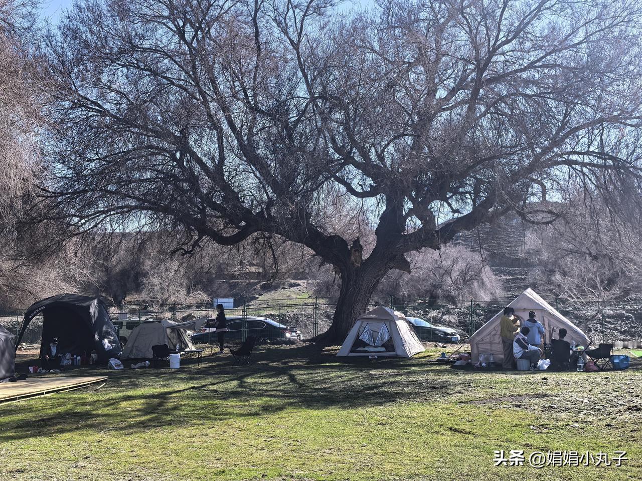 清明露营火爆出圈！城市出行大变样～清明假期乌鲁木齐周边露营地人气爆棚，帐篷遍地、