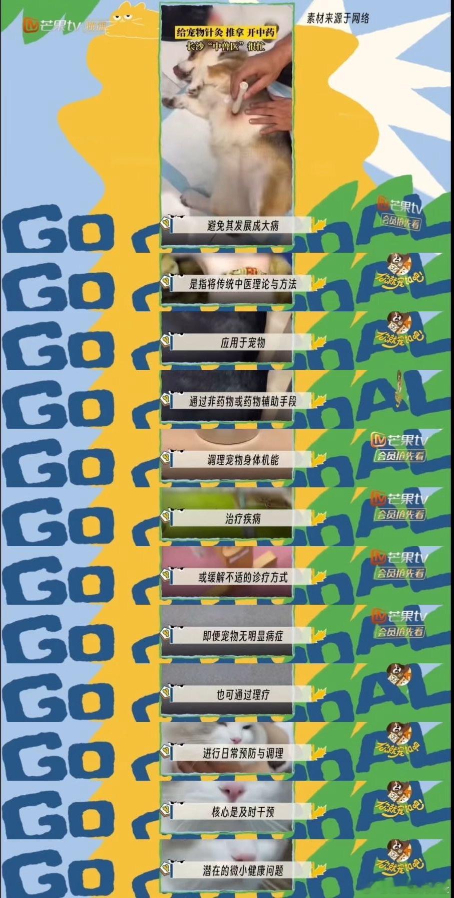 中医的风还是吹到了宠物界你就宠ta吧哇塞！中医的风刮到宠物界啦！看《你就宠ta吧