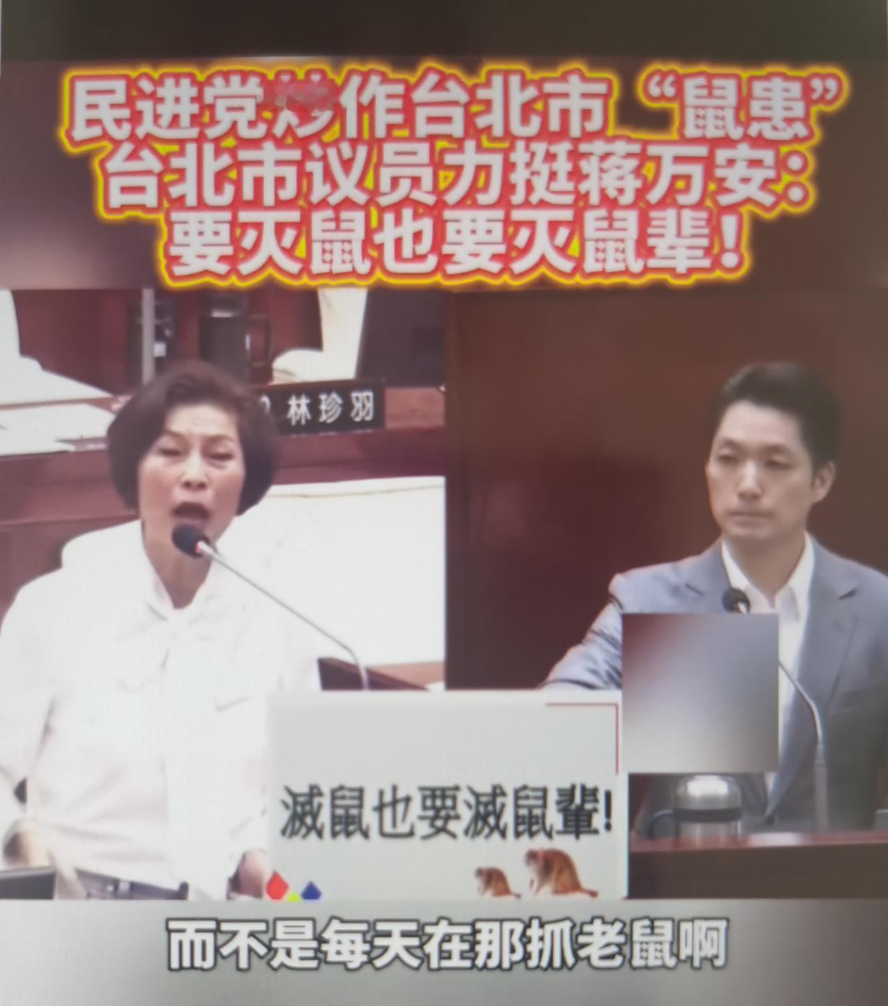 2026年台北市长选战提前引爆，绿营借“鼠患”攻蒋万安市政失能，蓝营议员以“灭鼠