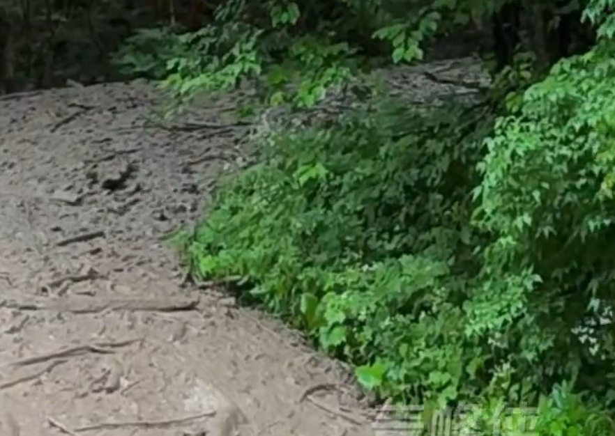 九寨沟通报：受短时强降雨引发泥石流，目前滞留游客正有序安全撤离